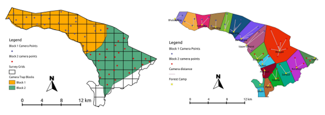 Camera trap locations